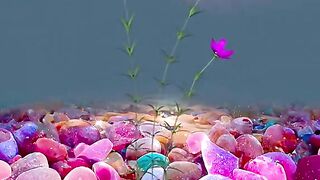 Linda paisagem de flor