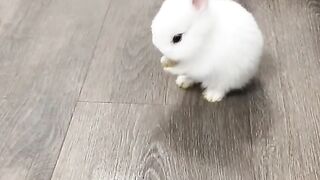 Little baby exercise time