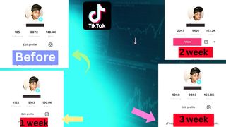 I will grow and promote your tiktok account organically