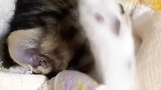 very interested video