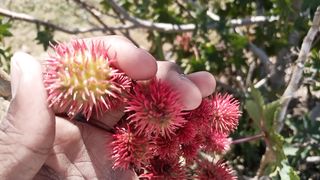 My first video