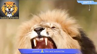 Delhi safari cartoon part 5 | comedy movies | babbarsher86 | Sher ki kahani