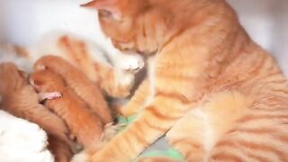 WOW, Your Babies Are So Cute!