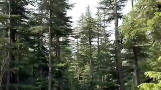 Kalam swat