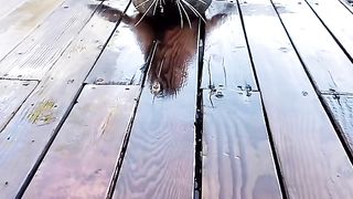 Lucky  seal