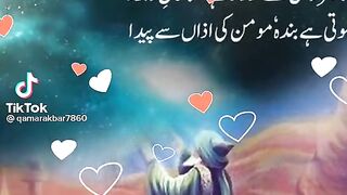 Buly Shah da kol
