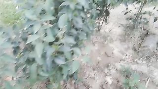 Beautiful plants