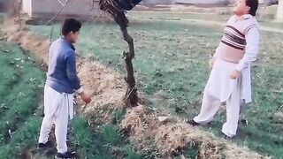 Funny videos