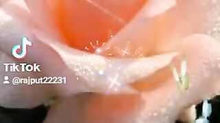 Romantic Love song Status