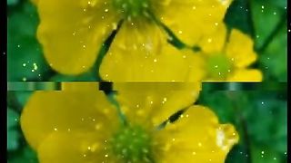 Old Indian romantic song Status