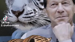 My tiktok vedio