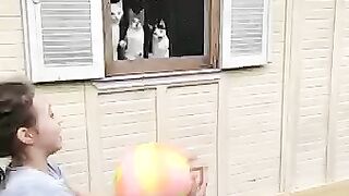 The way they all move at the same time
