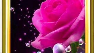 Romantic Love song Status