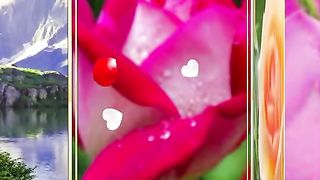 Old Indian romantic song Status