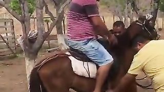 Meu sonho era ter um cavalo kkkkk
