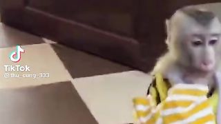 Wa Kay funny video