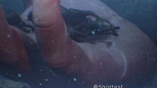 The Giant was waiting where the Merman crept