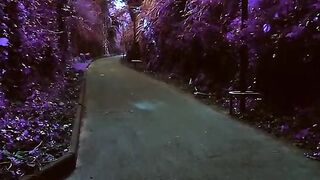 Paisagem roxa