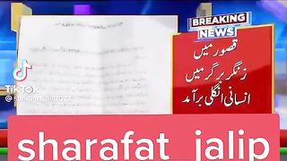 Zingar bargar mai kia nikla.hai yeh