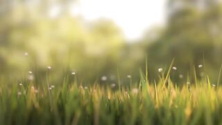 Gnome animated short movie