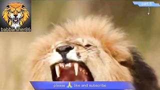 Delhi safari cartoon part 6 | comedy movies | babbarsher86 | Sher ki kahani