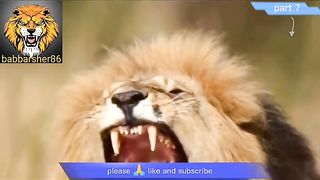 Delhi safari cartoon part 7 | comedy movies | babbarsher86 | Sher ki kahani