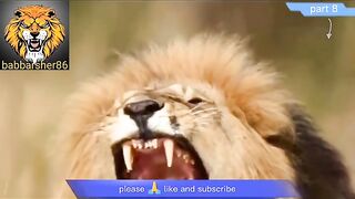 Delhi safari cartoon part 8 | comedy movies | babbarsher86 | Sher ki kahani