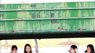 AWW NEW FUNNY ???? Funny Videos