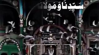 درود ه شریف مبارک ..... اشتہار پر کلک کر کے ارنگ کریں