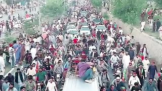 عمران خان کا استقبال