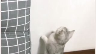 Watch the end ????