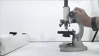 How to work a microscop