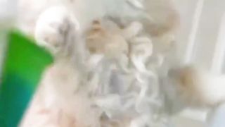 Kitty #viralreels #viral