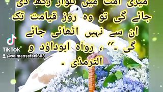 Rasool Allah Sallallaho Alaihi Wasallam Ki hadees