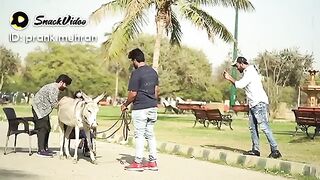 New Full funny video # best funny clip new video upload 2023