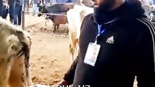 MOLBOZORDA YANGILIK????????????. VIDEONI OHIRIGACHA KO‘RING