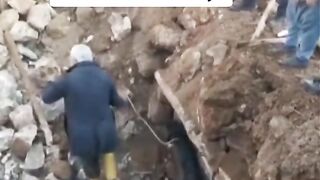 Horse rescued 21 days after #TurkeyEarthquake and reunited with its owner