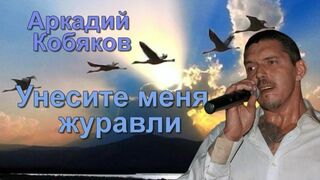 Унесите меня журавли.  Поёт автор слов и музыки - Аркадий Кобяков.
