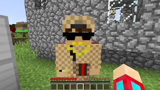 Minecraft 12