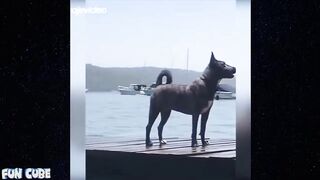 People Dying Inside Compilation 2