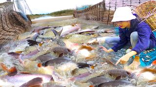 Best Bamboo Fishing Trap