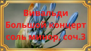 Вивальди Большой концерт соль минор, соч. 3