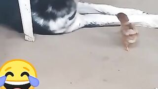Чудовышше