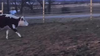 Awesome video ????