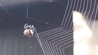 Awesome video ????