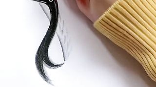 Fun video of the world