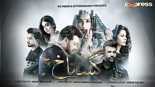 Pakistani Drama Gustakh - Episode 25_ Faryal Mehmood , Faysal Quraishi # subscribe my channel