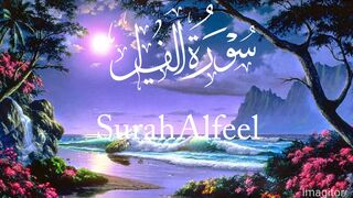 Sirah al feel best tilawat||Surah al fell Khubsurat tilawat