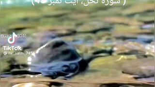 Quran ki piyari batey ❤️❤️❤️