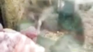 Awesome video ????